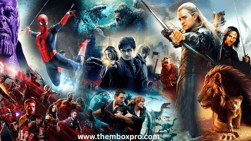 What is moviebox